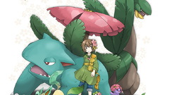 Bayleef Turtwig Tropius Pokemon