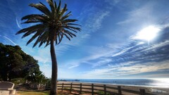 beach clouds palm trees Sea landscape outdoors sky sun Plants