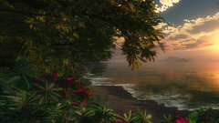 Beach nature sunset paintings