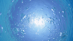 Beach of Okinawa nature