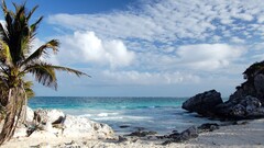 beach palm trees sky clouds Sea
