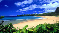 Beach Park Hawaii haena
