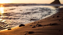 beach pebbles depth of field Sea sunlight sand