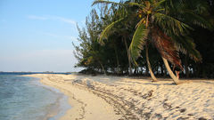 Beach sandy high cay Resolution