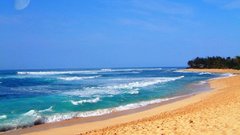 Beach serene summertime amidoinitright