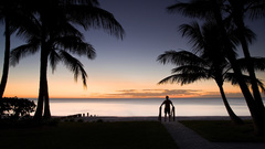 Beach silhouette nature