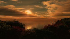 Beach sunrise nature