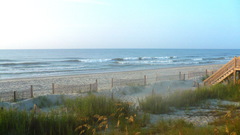 Beach Volcanoes shore nature