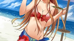 Beaches anime girls bikini sword art online yuuki asuna