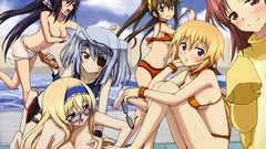 Beaches anime girls infinite stratos bikini