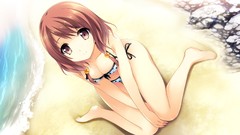 Beaches barefoot anime girls game cg ecchi cleavage bikini 
