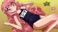 Beaches blush pink hair long hair anime girls zero no tsukaima 