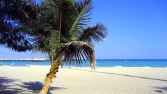 Beaches iran kish island