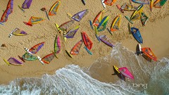 Beaches multicolor surfers