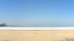 Beaches ocean Trees cityscapes