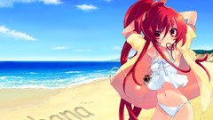Beaches shakugan no shana underwear panties