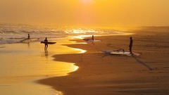 Beaches surfers