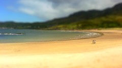 Beaches tilt-shift