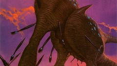 Beachquills and beach loper