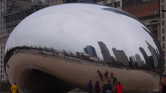 Bean again anyone high