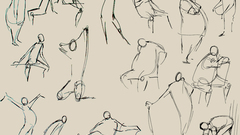 Bear here high Animals