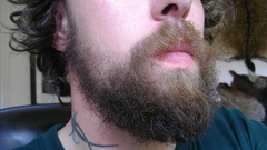Beard