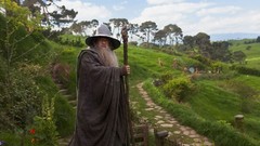 Beard staff Gandalf Wizards The Hobbit Ian McKellen The Shire