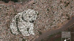 Bears Beaches Greenpeace