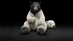 Bears costume funny Polar Bears Simple Background grumpy