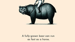 Bears high incredible Resolution