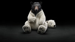 Bears Photo manipulation