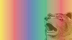 Bears rainbows shocked