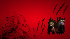 Bears red and Animals