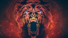 Bears supernova outer space