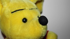 Bears teddy bears toys (children)