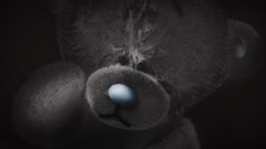 Bears teddy bears toys (children)