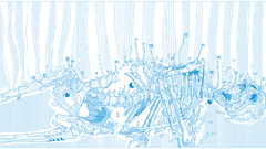 Beaucoupzero high market dynamics