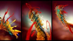 Beautiful abstract magic