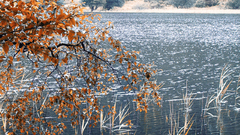 Beautiful autumn nature