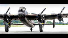 Beautiful Birds plane bomber