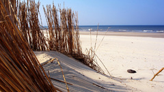 Beautiful place beach sand