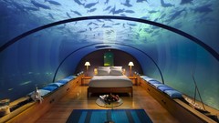 Beds fish bedroom underwater