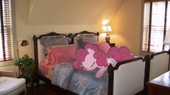 Beds ponies Photo manipulation my little pony pinkie pie My 