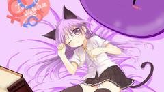 Beds school uniforms Trap