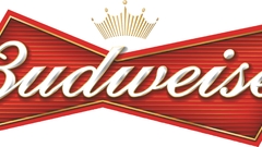 Beers brands budweiser logos