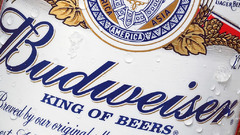 Beers budweiser