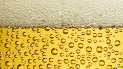 Beers drinks beer energy