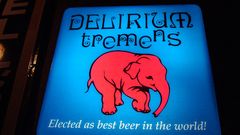 Beers elephants