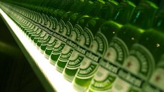 Beers heineken drinks