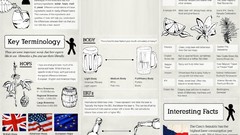 Beers infographics